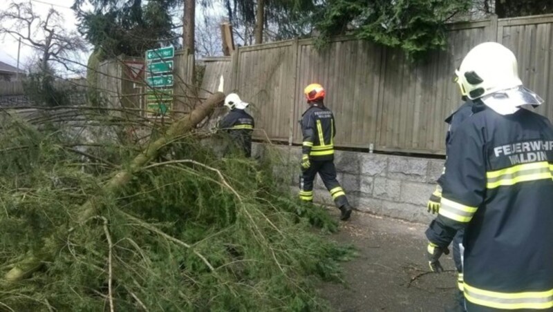 Die Feuerwehr beseitigt im Bezirk Urfahr-Umgebung (OÖ) einen Baum, der auf eine Straße gestürzt war. (Bild: APA/BFK UU/PRESSESTELLE)