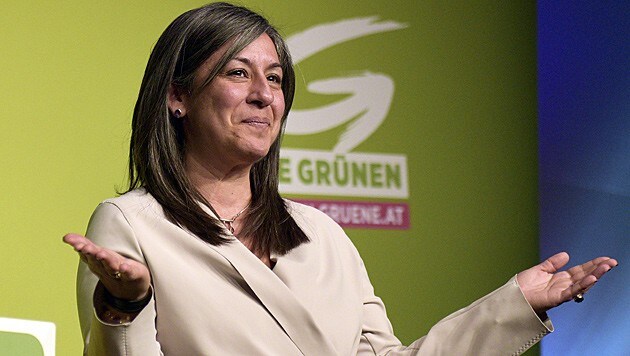 Maria Vassilakou (Bild: APA/Hans Punz)