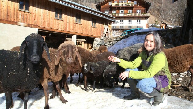 Das Braune Bergschaf war bereits fast ausgerottet - vor 10 Jahren gab es nur noch 70 Tiere in Tirol. (Bild: Uta Rojsek-Wiedergut)