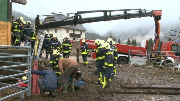 Die Freiwilligen Feuerwehren Gröbming und Gröbming-Winkl retteten den Junghenst aus der Jauchengrube (Bild: BFV LIEZEN / Schlüßlmayr)