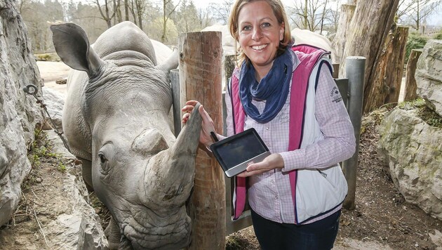 Zoo-Chefin Sabine Grebner mit dem Monitor, der eine lückenlose Überwachung von "Tamu" ermöglicht. (Bild: Markus Tschepp)