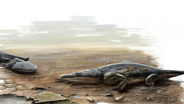 Künstlerische Illustration des Metoposaurus algarvensis (Bild: University of Edinburgh)