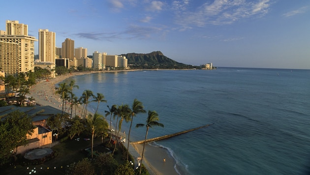 Kurt Engl aus Ebensee ist im Urlaubsparadies Honolulu auf Hawaii in Haft. (Bild: Krone)
