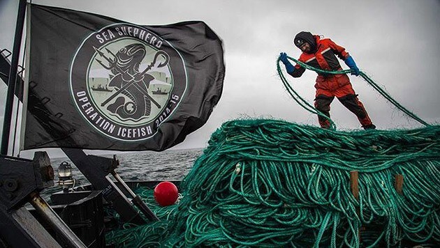 Sea Shepherd hat in der Antarktis illegale Stellnetze mit 76 Kilometern Länge aus dem Meer geholt. (Bild: SeaShepherd.org)