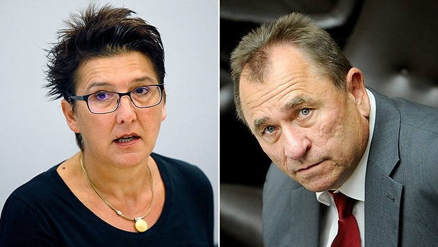 Die SPÖ-Funktionäre Sonja Ablinger und Walter Schopf (Bild: APA/ROLAND SCHLAGER, APA/RUBRA)