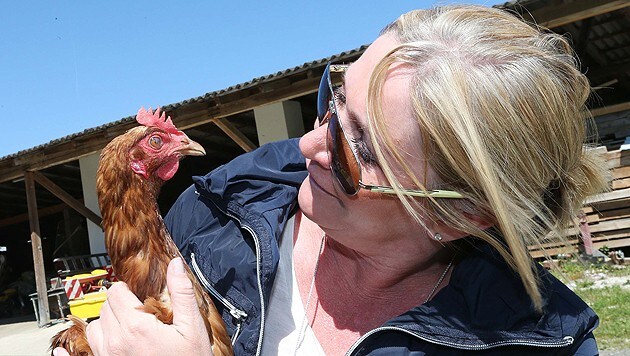 Auch die Anschaffung von Hühnern sollte man sich gut überlegen... (Bild: Jürgen Radspieler)