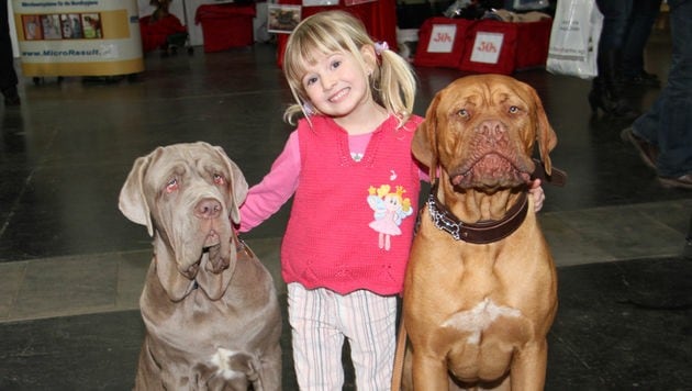 Für jeden ist der passende Hund dabei. (Bild: CHRISTIAN JAUSCHOWETZ)