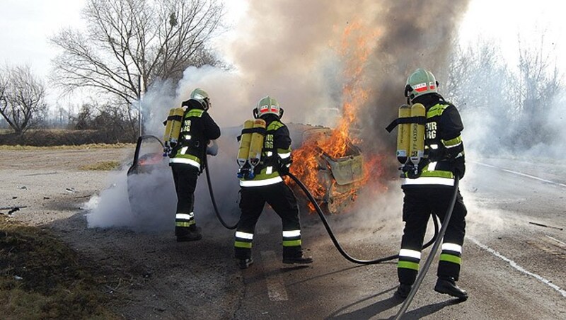 (Bild: Mario Hütter/FF Laxenburg)