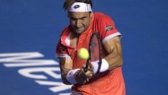 David Ferrer (Bild: AP)