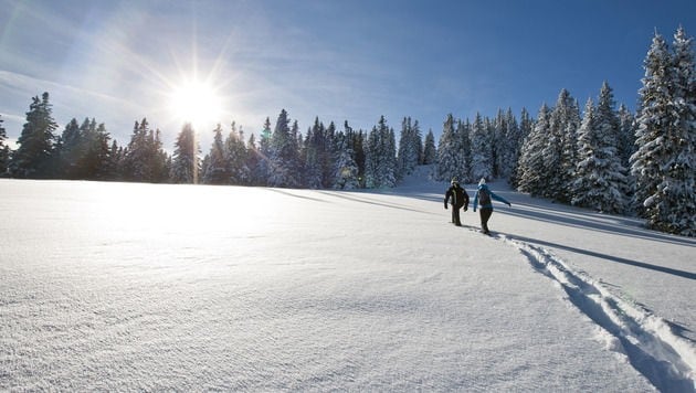 Winterwanderung (Bild: Tom Lamm | ikarus.cc)