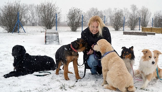 "Botschafterin des Hundes": Iva Schell (Bild: ÖKV)