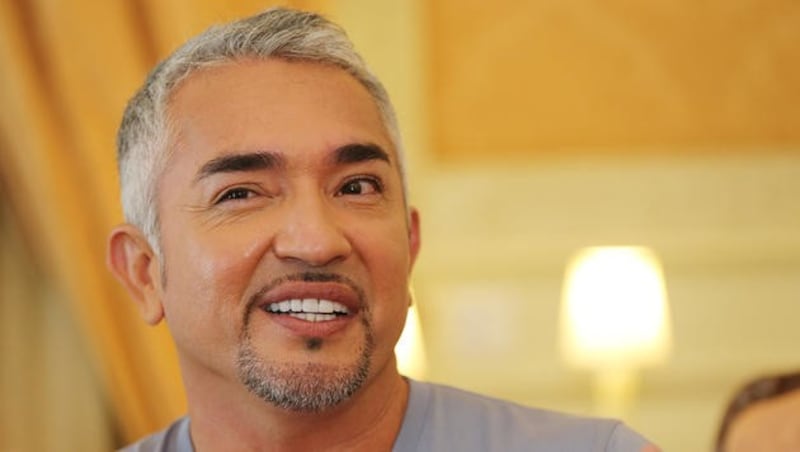 Cesar Millan im Interview in Österreich (Bild: Peter Tomschi)