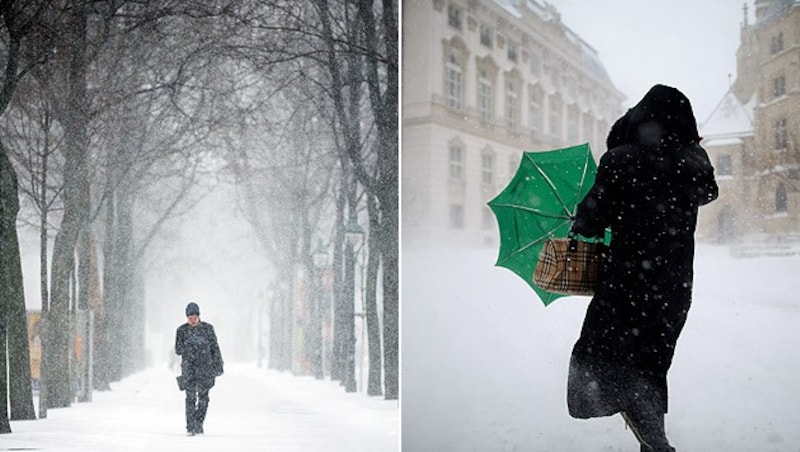 (Bild: APA/GEORG HOCHMUTH)