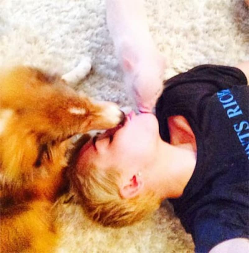 Miley Cyrus teilt ihr Bett mit Hund "Emu" und Mini-Schweinchen "Bubba Sue". (Bild: instagram.com/mileycyrus)