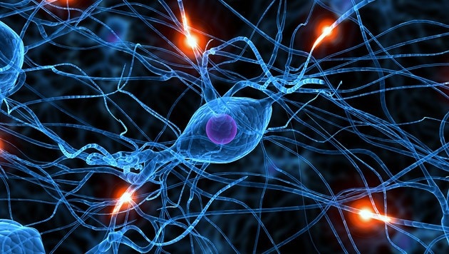 Über neuronale Bahnen ist den Forschern bislang nur wenig bekannt. (Bild: thinkstockphotos.de)