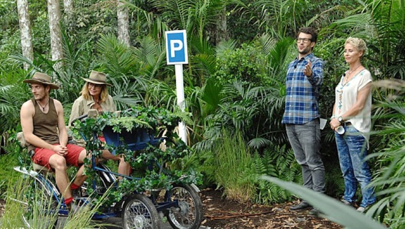 Jörn und Maren bei der Dschungelprüfung (Bild: RTL/Stefan Menne)