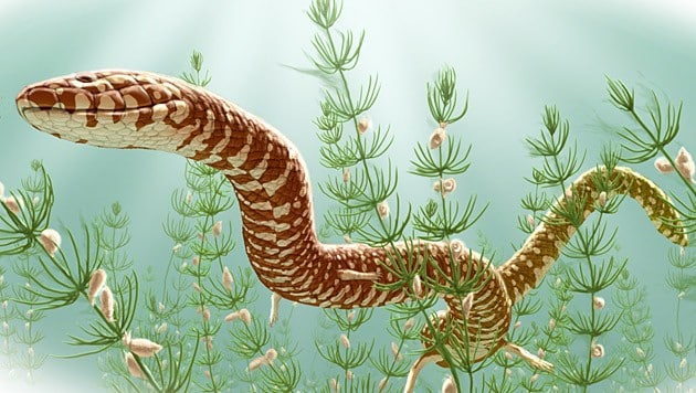 Künstlerische Illustration der Art Parviraptor estesi (Bild: Julius T. Csotonyi)