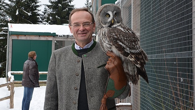 Bliem mit Bartkauz "Willi": "Es gibt hier viel Potenzial." (Bild: Jakob Traby)