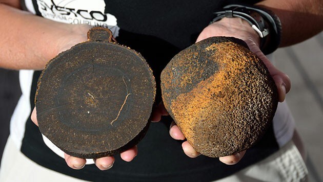 Einige der im Atlantik gefundenen Manganknollen (Bild: Thomas Walter)
