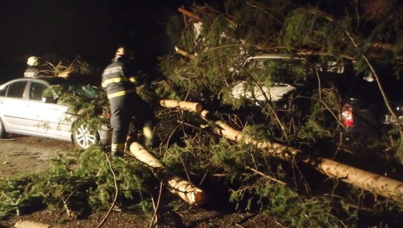 In Oberösterreich stürzten Bäume auf mehrere Autos. (Bild: APA/FF BAD ISCHL/FW RETTENBACH)