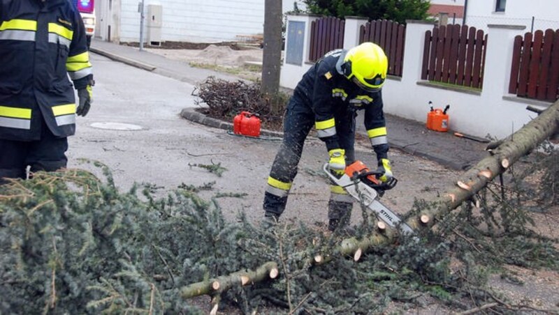 (Bild: Herbert Wimmer/Pressestelle BFK Mödling)