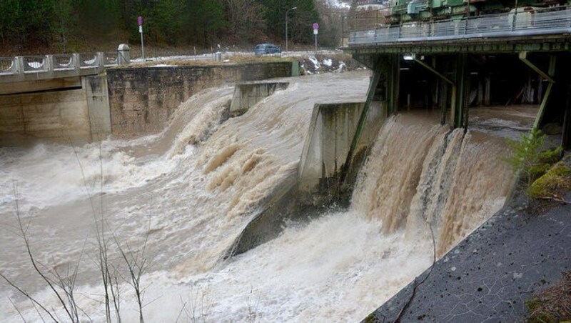 Kräfte der Feuerwehr bei einer Hochwasserkontrolle entlang der Schwarza in Niederösterreich (Bild: APA/ED - LECHNER)