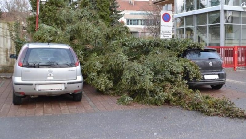 Eine heftige Windböe riss einen Baum in Neunkirchen um, der auf zwei Autos krachte. (Bild: Einsatzdoku.at)