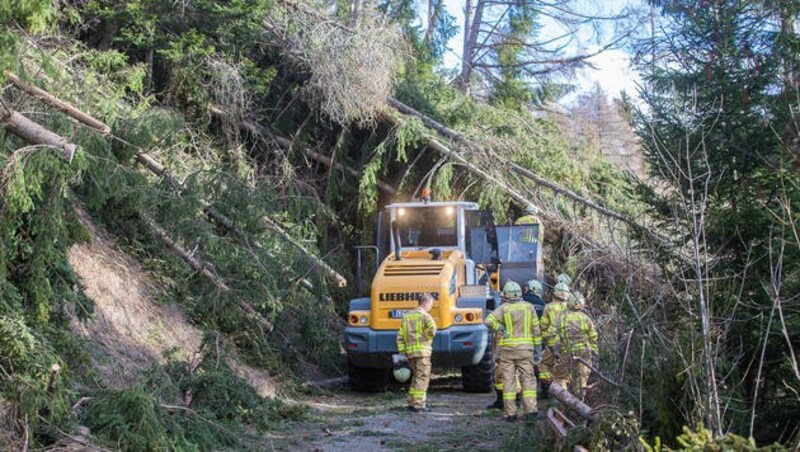 Waldarbeiter räumen einen Forstweg von umgestürzten Bäume in Osttirol. (Bild: APA/BRUNNER IMAGES/PHILIPP BRUNNER)