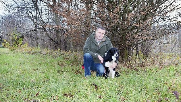 Wolfgang Riener und "Cupper" spüren schädliche Käfer auf. (Bild: LK NÖ/Eva Posch)