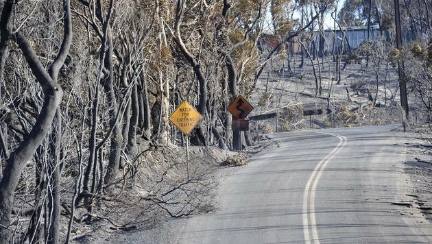 Bisher wurden rund 11.000 Hektar Land durch das Feuer verwüstet. (Bild: APA/EPA/DAVID MARIUZ)