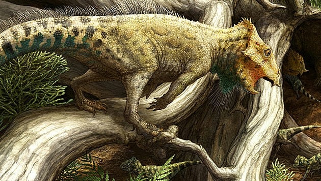 Künstlerische Darstellung des Hornsauriers Aquilops americanus (Bild: Brian Engh, Raymond M. Alf Museum of Paleontology)