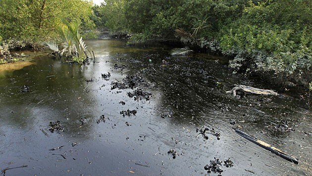 Eine dicke Ölschicht bedeckt den Fluss Schela. (Bild: AFP)