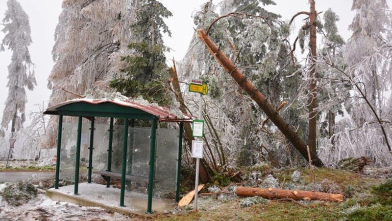 (Bild: APA/EINSATZDOKU.AT/PATRIK LECHNER)