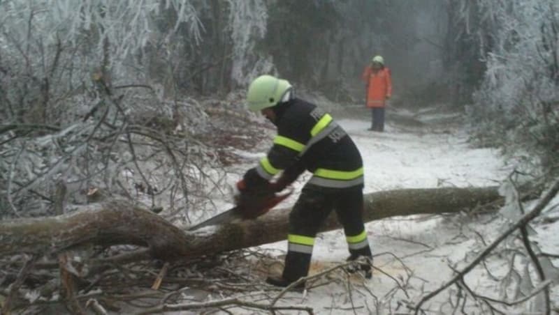 Zahlreiche umgestürzte Bäume blockieren Straßen. (Bild: APA/BFV HARTBERG)