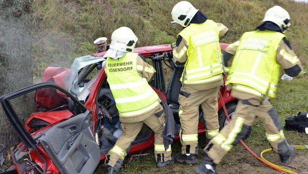 Mittels "Crash-Rettung" wurde das Unfallopfer aus dem Wagen geborgen. (Bild: Lukas Derkits / Pressestelle BFK Mödling)