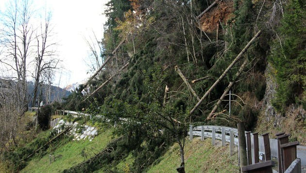 Umgeknickte Bäume blockierten in Salzburg einige Straßen. (Bild: APA/GEMEINDE STUHLFELDEN/EGGER GUNDI)
