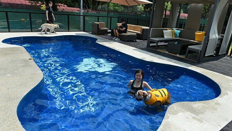 Unter anderem gibt's einen knochenförmigen Swimmingpool für die Vierbeiner. (Bild: AFP)