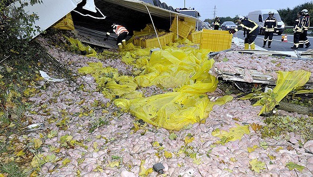 20 Tonnen Putenfleisch lagen nach dem Unfall auf der A1 verstreut. (Bild: APA/PAUL PLUTSCH)
