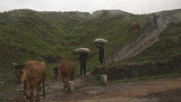 Bauern in der Provinz Ryanggang-do im Norden des Landes (Bild: AP)