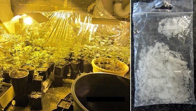 Bei Hausdurchsuchungen wurde nicht nur Crystal Meth entdeckt, sondern auch Cannabis-Plantagen. (Bild: Polizei Rohrbach)
