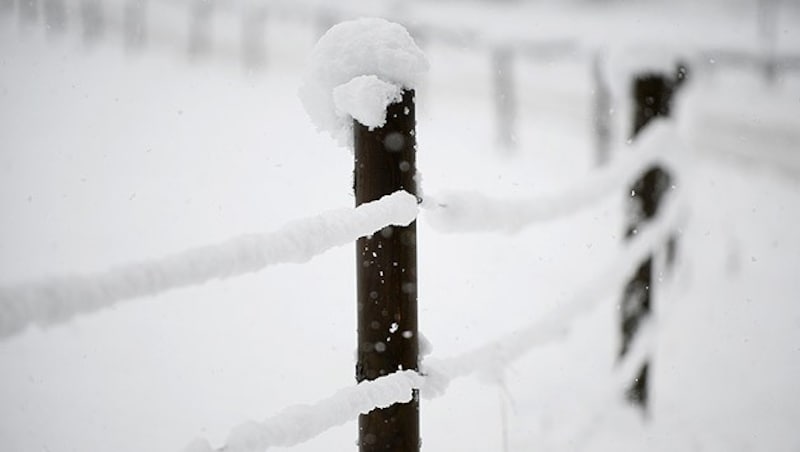 Schnee im Salzburger Flachgau (Bild: APA/BARBARA GINDL)