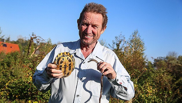 Richard Weixler mit Schmuckschildkröte und Schlingnatter. (Bild: laumat.at)