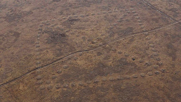 Geometrische Bodenmuster im Norden Kasachstan (Bild: DigitalGlobe, Google Earth)