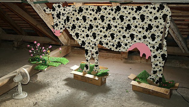 Was macht die Kuh im MQ? (Bild: © TimTom)