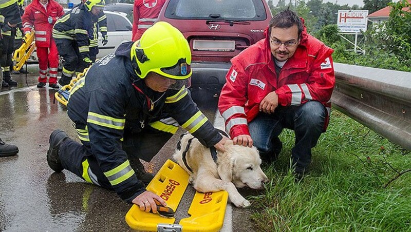 (Bild: Freiwillige Feuerwehr Baden-Stadt)