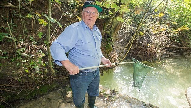 Pensionist Franz Haider ist verzweifelt: "Fast alle Fische sind weg." (Bild: Neumayr/MMV)