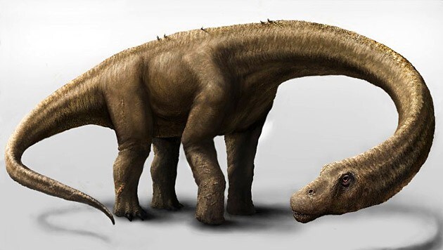 Künstlerische Rekonstruktion eines Dreadnoughtus schrani (Bild: Carnegie Museum of Natural History/Mark A. Klinger)