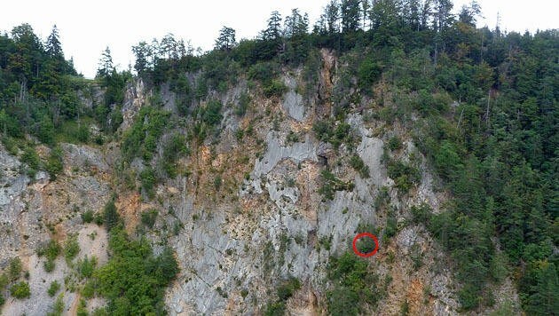 In Kärnten versuchte eine Wienerin, einen Berg mit Flipflops zu erklimmen (Kreis). (Bild: LPD Kärnten)