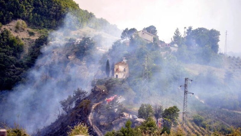 Die Feuerwehr auf dem Weg zu vom Feuer bedrohten Häusern (Bild: AP)