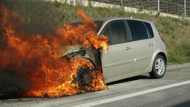 Aus dem Motorraum des Wagens schlugen Flammen. (Bild: FF Wiener Neudorf)